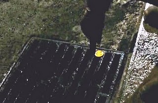 jesse americain cafe