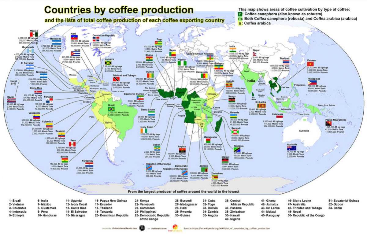 World Coffee Production