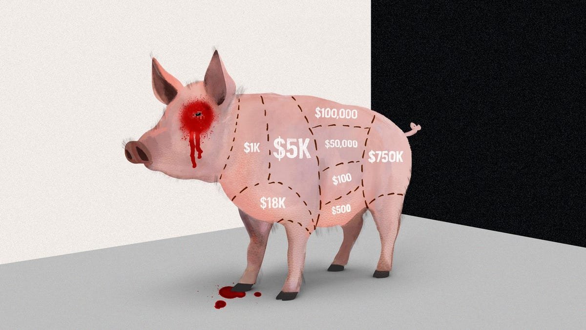 How One Man Lost $1 Million To A Crypto ‘Super Scam’ Called Pig Butchering thumbnail