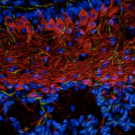 Screenshot 2023-01-18 at 11.52.56 AM