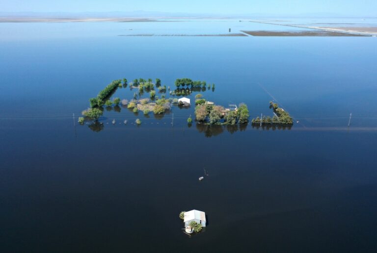 SJM-L-MELT-0425-1-1-768×516[1]