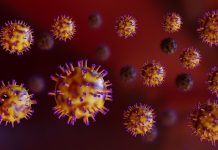 The Deaths Doctors Never Thought They’d See in the U.S.