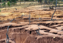 Our world is entering an ‘era of global water bankruptcy’, UN scientists declare