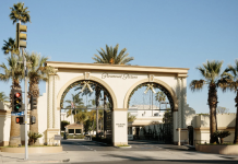 Netflix Backs Out of Bid for Warner Bros., Paving Way for an Ellison Takeover