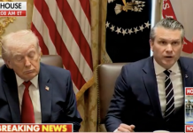 The Worst and the Dumbest