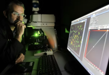 Panicking scientists, canceled experiments – federal funding cuts turned my work as a research dean into crisis management