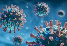 COVID‑19 variant BA.3.2 is spreading quickly across US – a doctor explains what you need to know