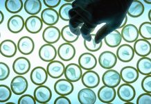 World’s Top Producer of Condoms Raises Prices as Iran War Rattles Supply Chains